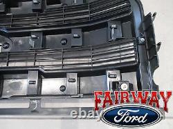 15 thru 17 F-150 OEM Genuine Ford Parts Molded Magnetic Grille Grill witho Camera