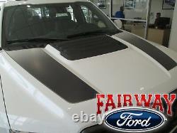 17 18 F-150 RAPTOR OEM Genuine Ford Ebony Black Hood Stripes Decals Set of 2