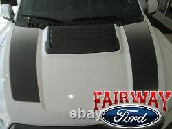 17 18 F-150 RAPTOR OEM Genuine Ford Ebony Black Hood Stripes Decals Set of 2