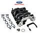 1999-2000 Mustang Gt 4.6 Oem Genuine Ford Frpp Pi Intake Manifold With Install Kit