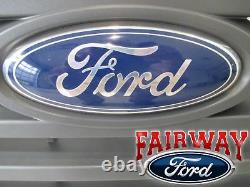 08 09 10 Super Duty F-250 F-350 Oem Genuine Ford Fx4 Ebony Grill Grille Withemblem