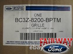 11 À 16 Super Duty F250 F350 Oem Genuine Ford Paintable Grille Surround Panel
