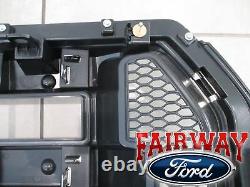 15 À 17 F-150 Oem Genuine Ford Parts Chrome Et Mesh Grille Grill Witho Camera