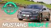 Ford Mustang Mach E Review Interior Price Gamme U0026 0 60mph Test Top Gear Tested